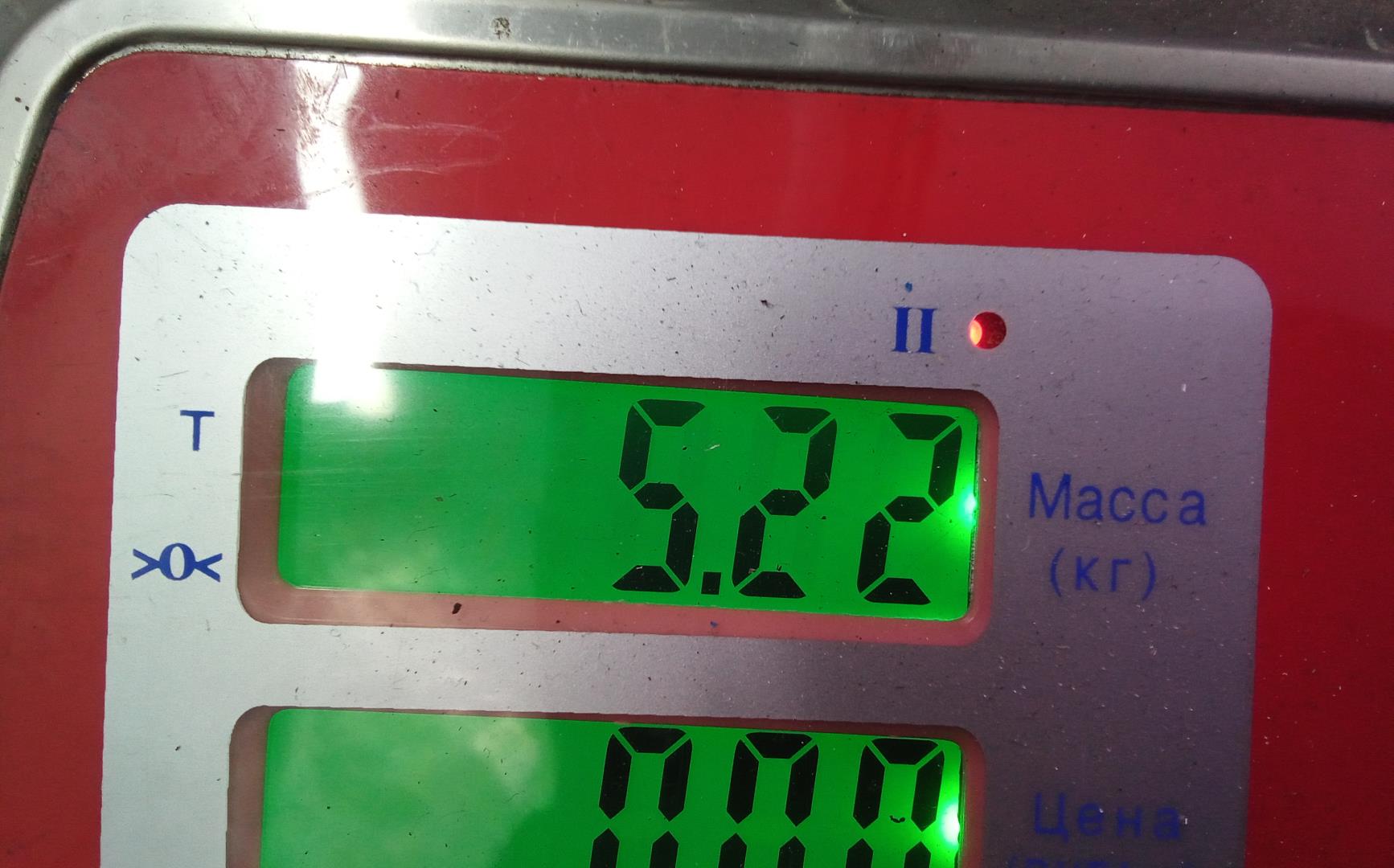 ТНВД (Топливный насос высокого давления)