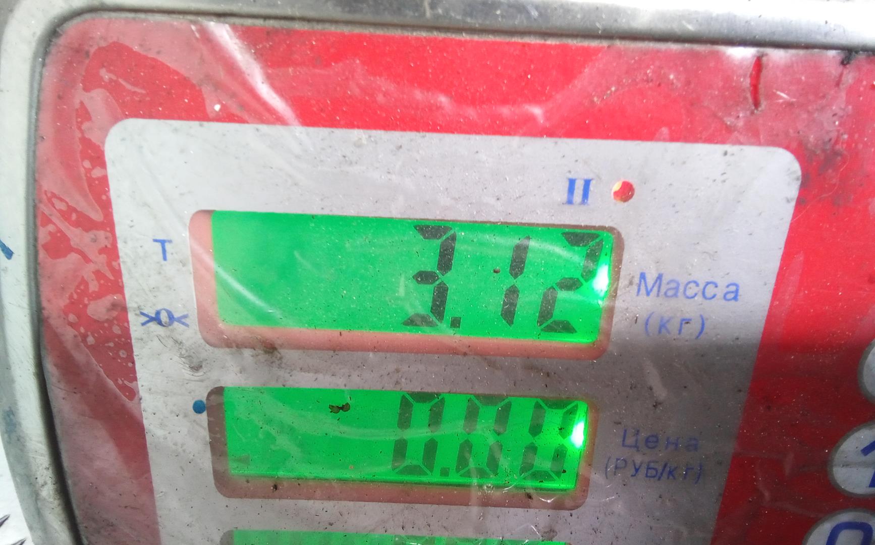 ТНВД (Топливный насос высокого давления)