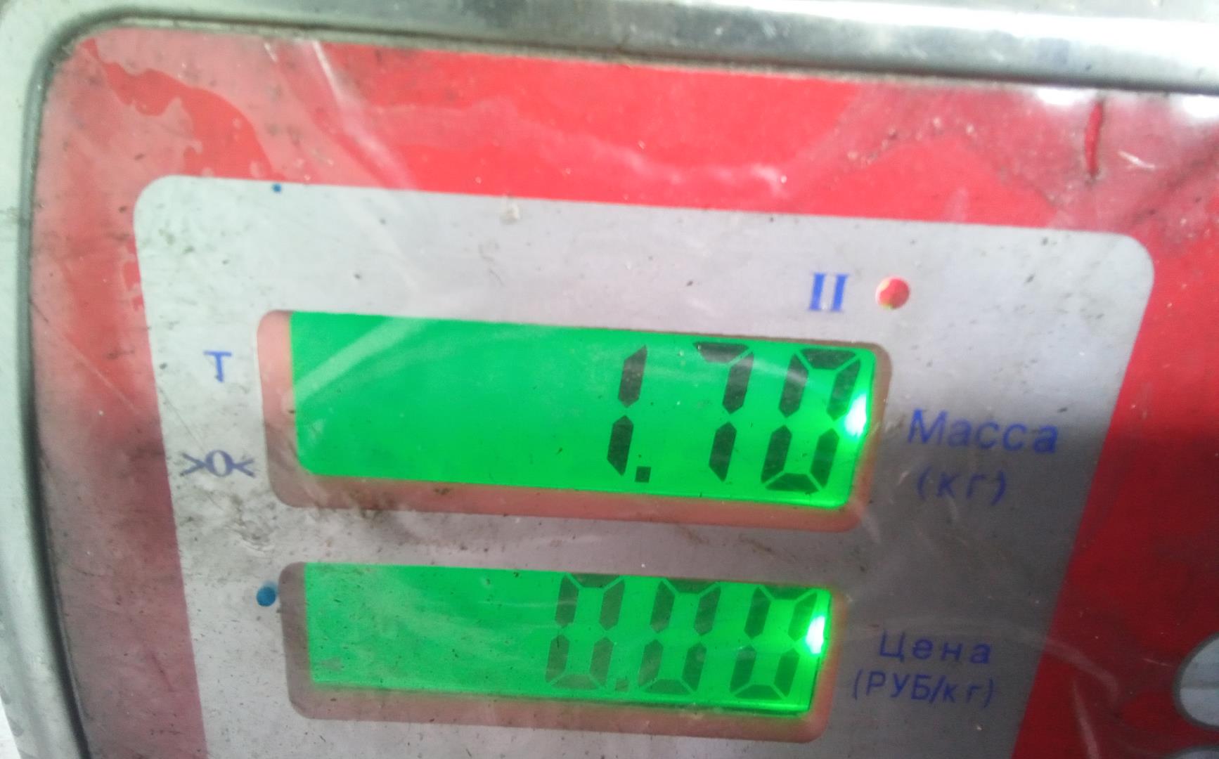 Термомуфта