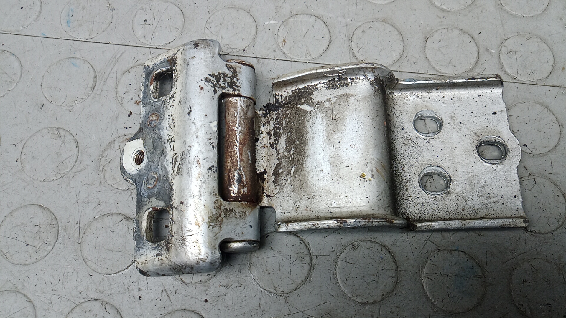 Петля двери задней