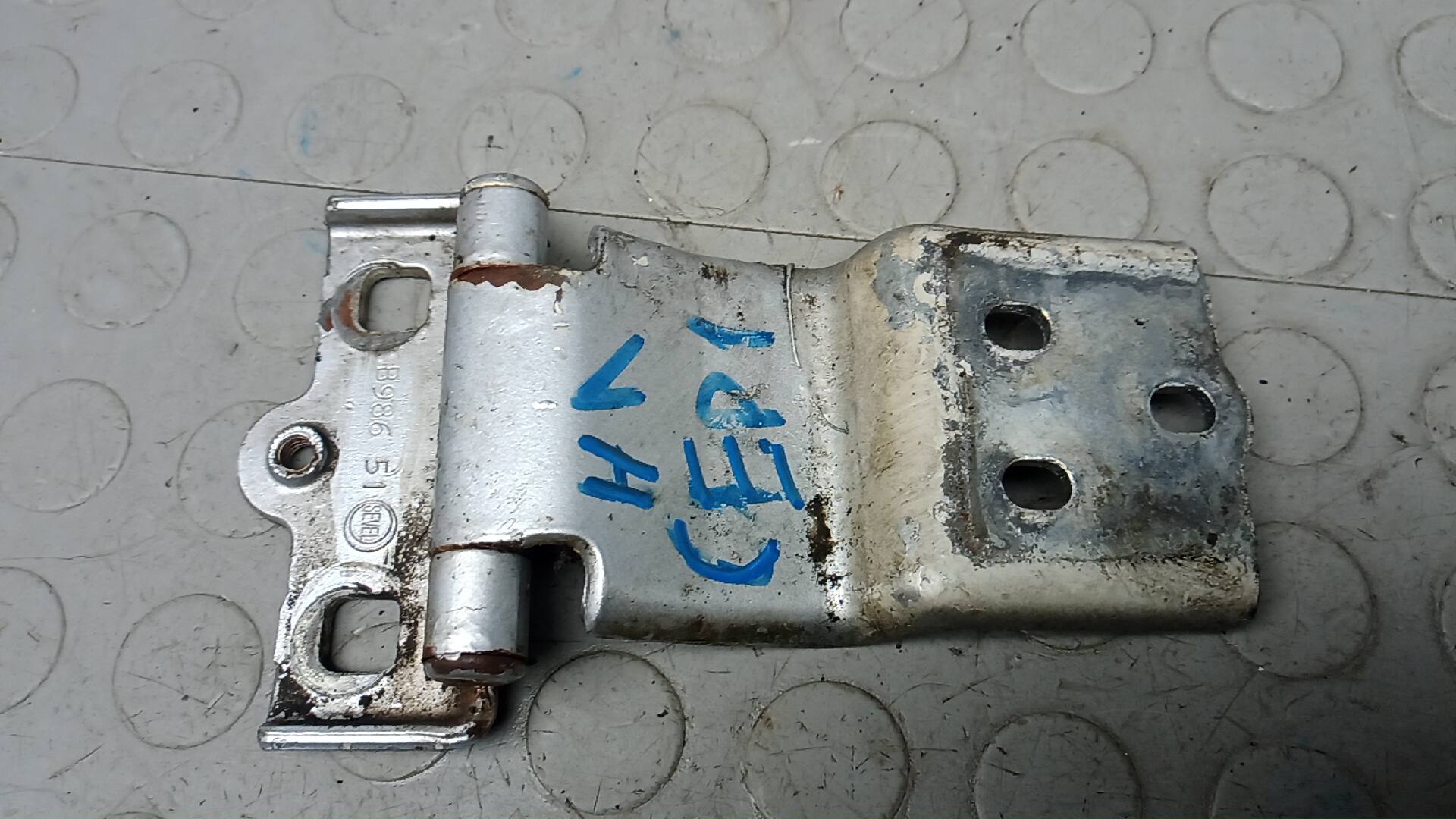 Петля двери задней