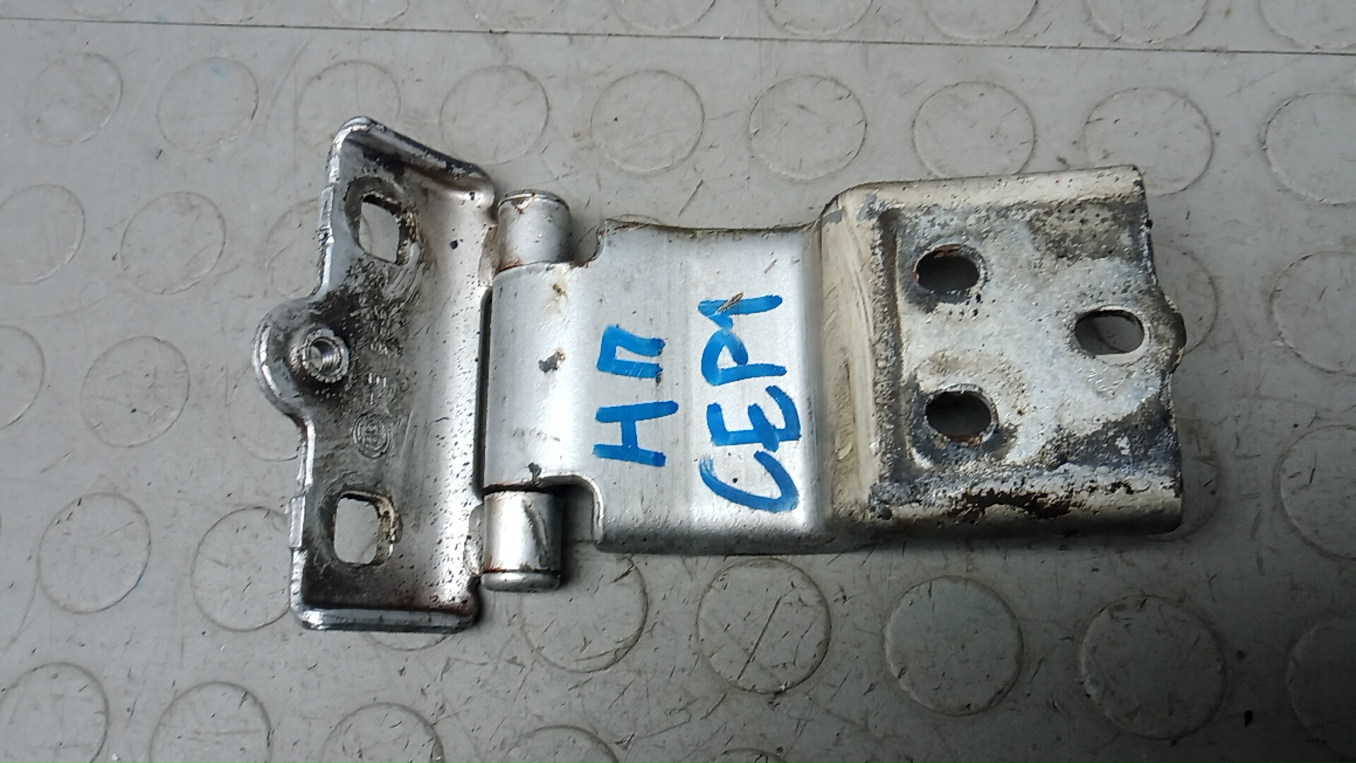 Петля двери задней