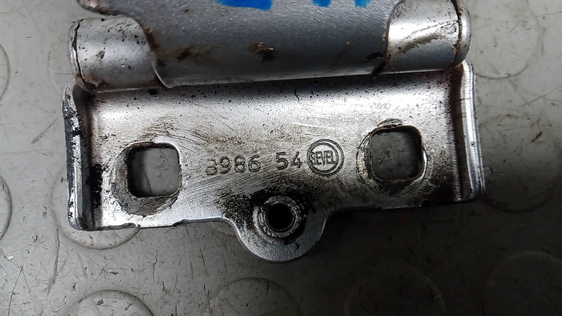 Петля двери задней