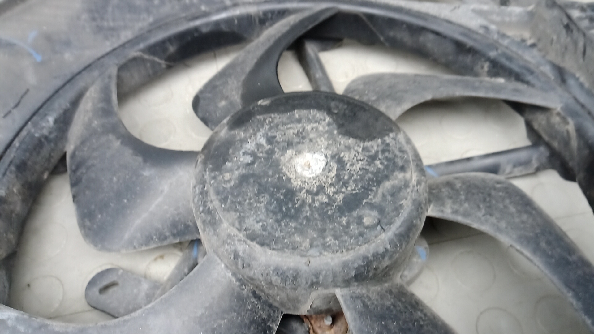 Вентилятор радиатора