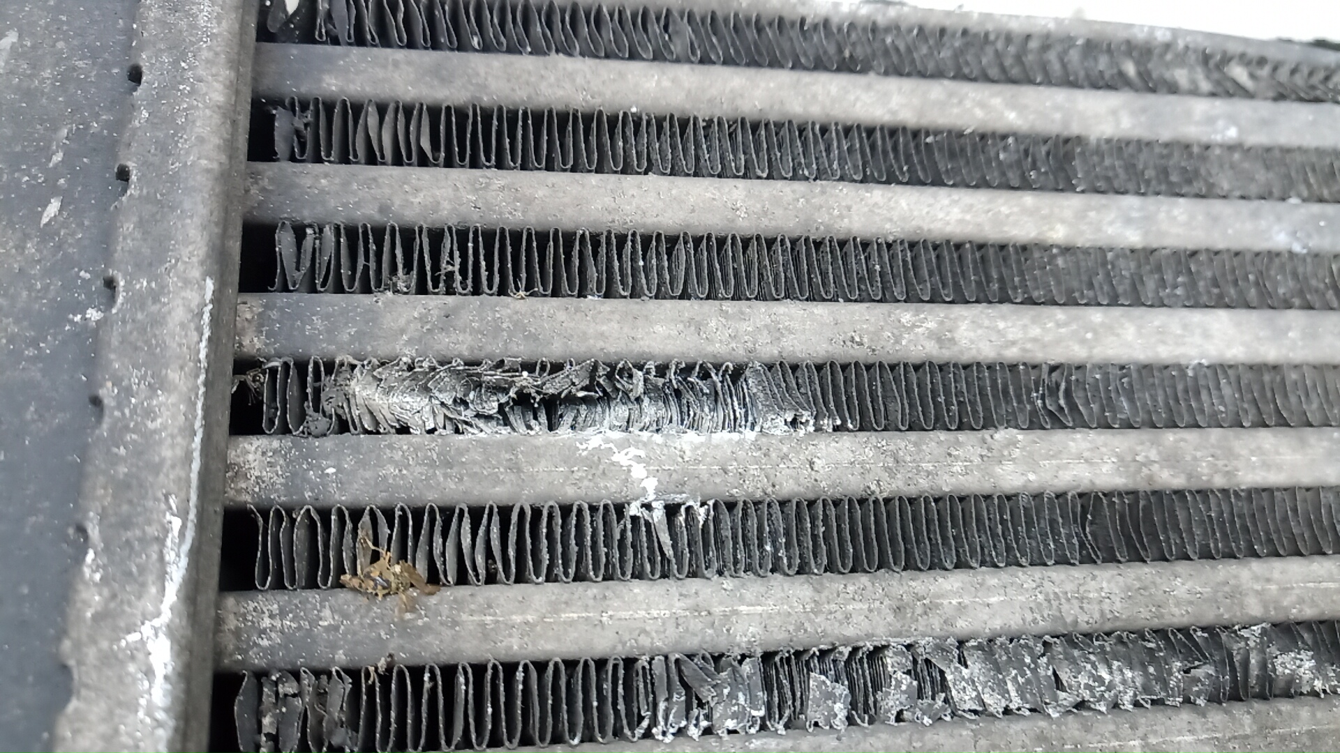 Интеркулер