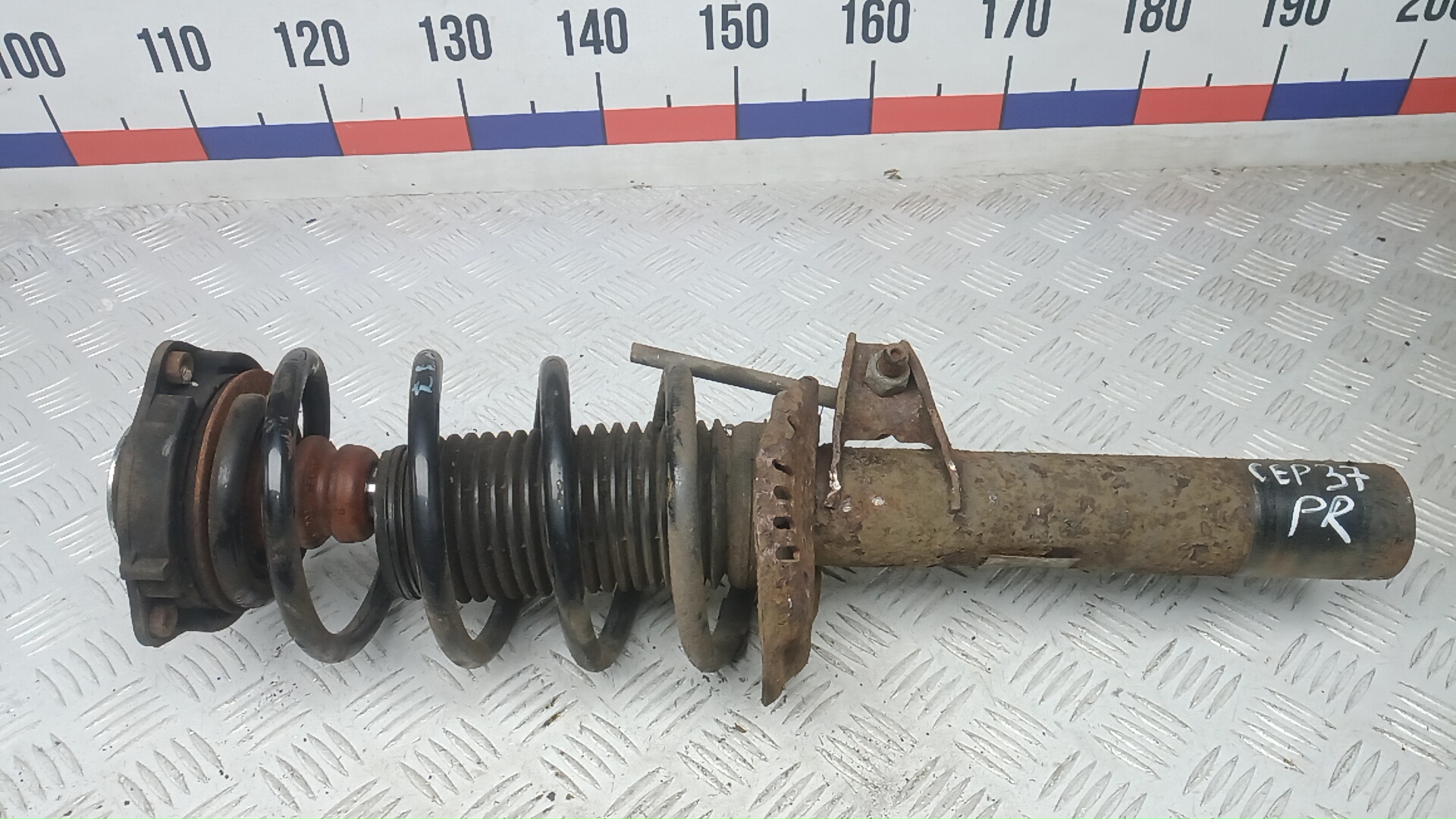 Амортизатор передний правый