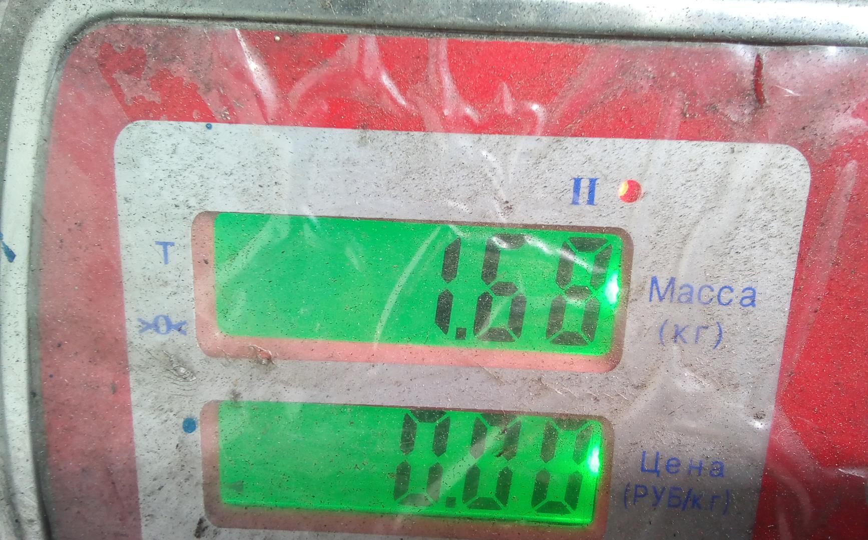 Термомуфта