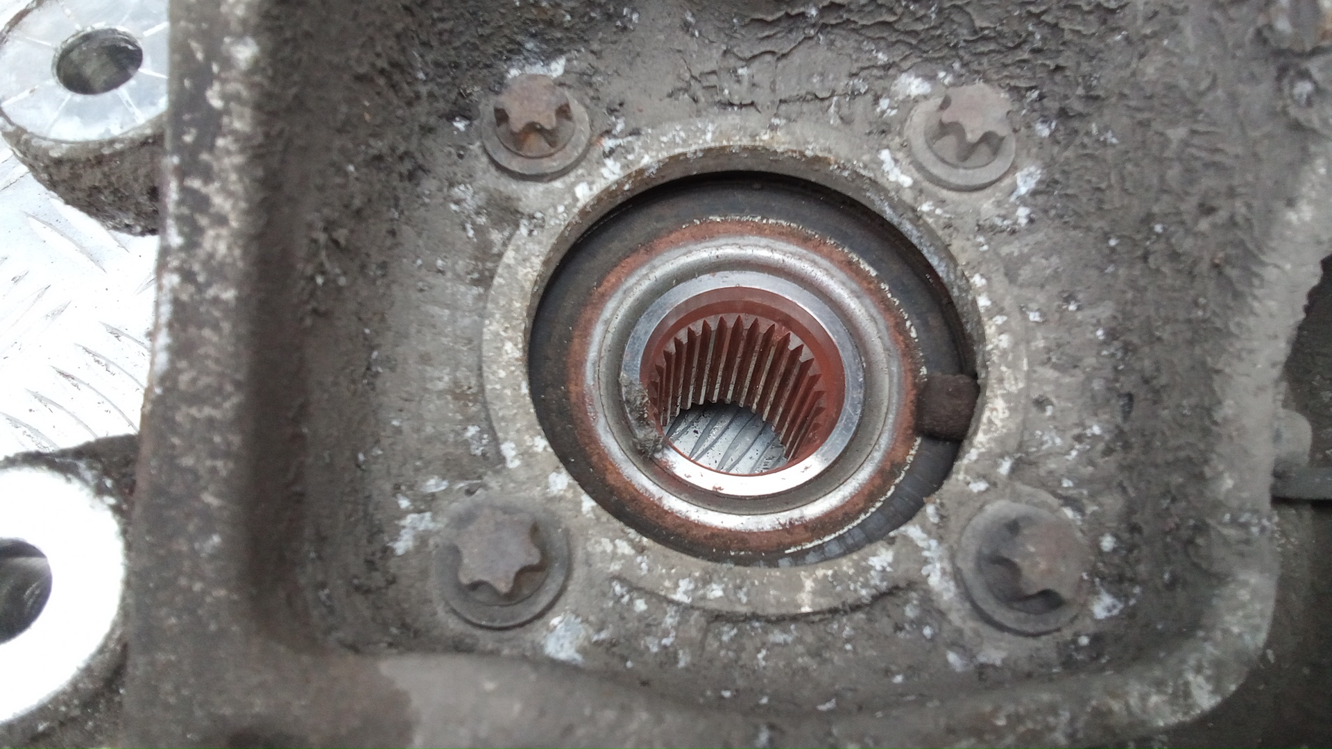 Ступица задняя