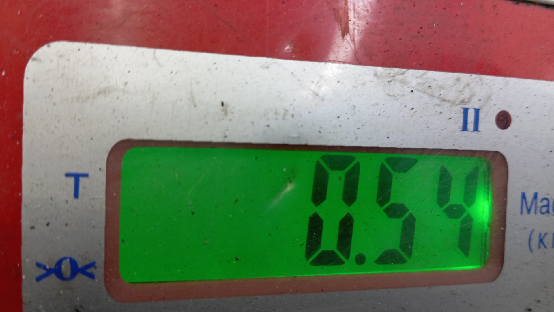 Форсунка дизельная электрическая