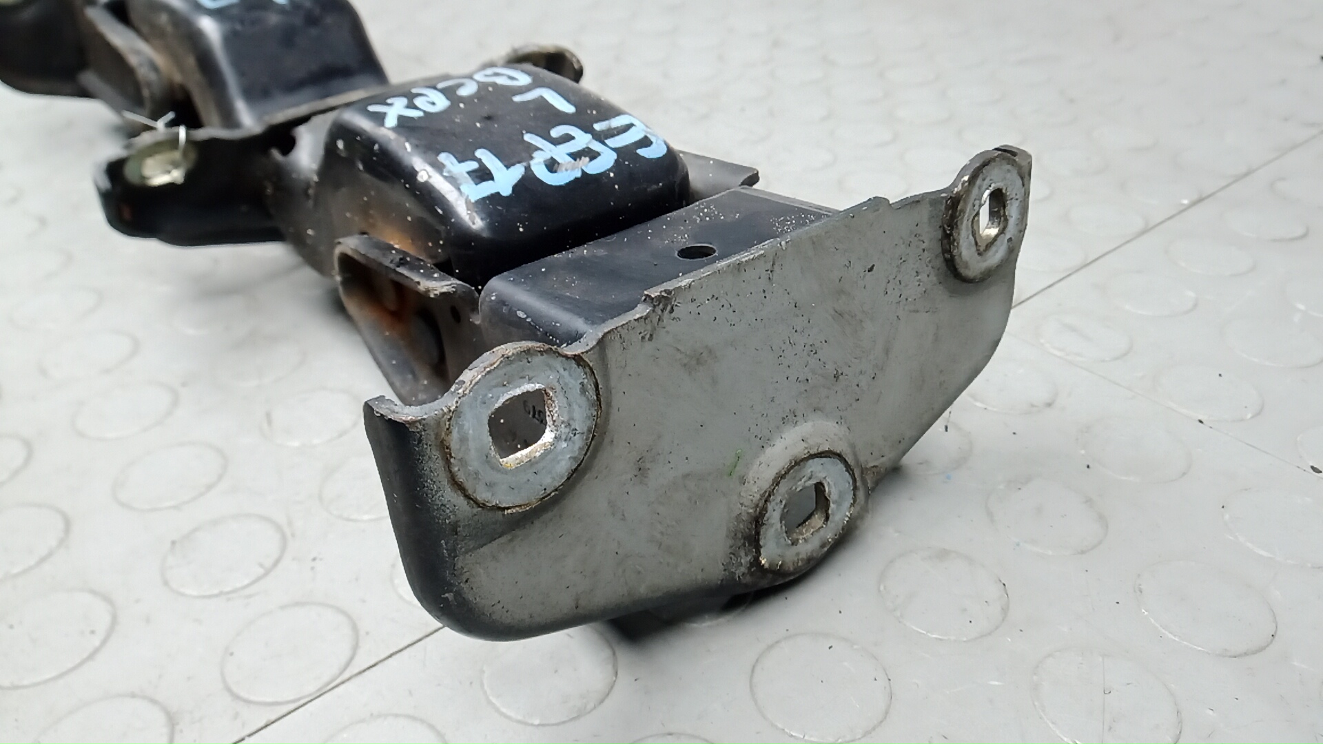 Петля двери задней