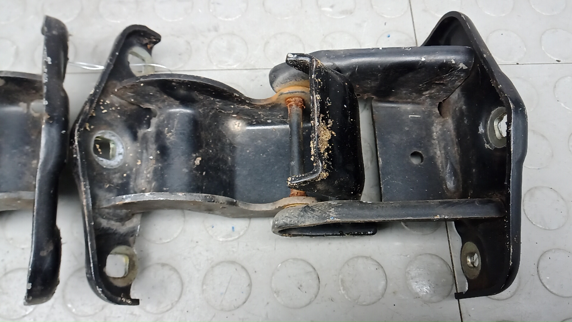 Петля двери задней