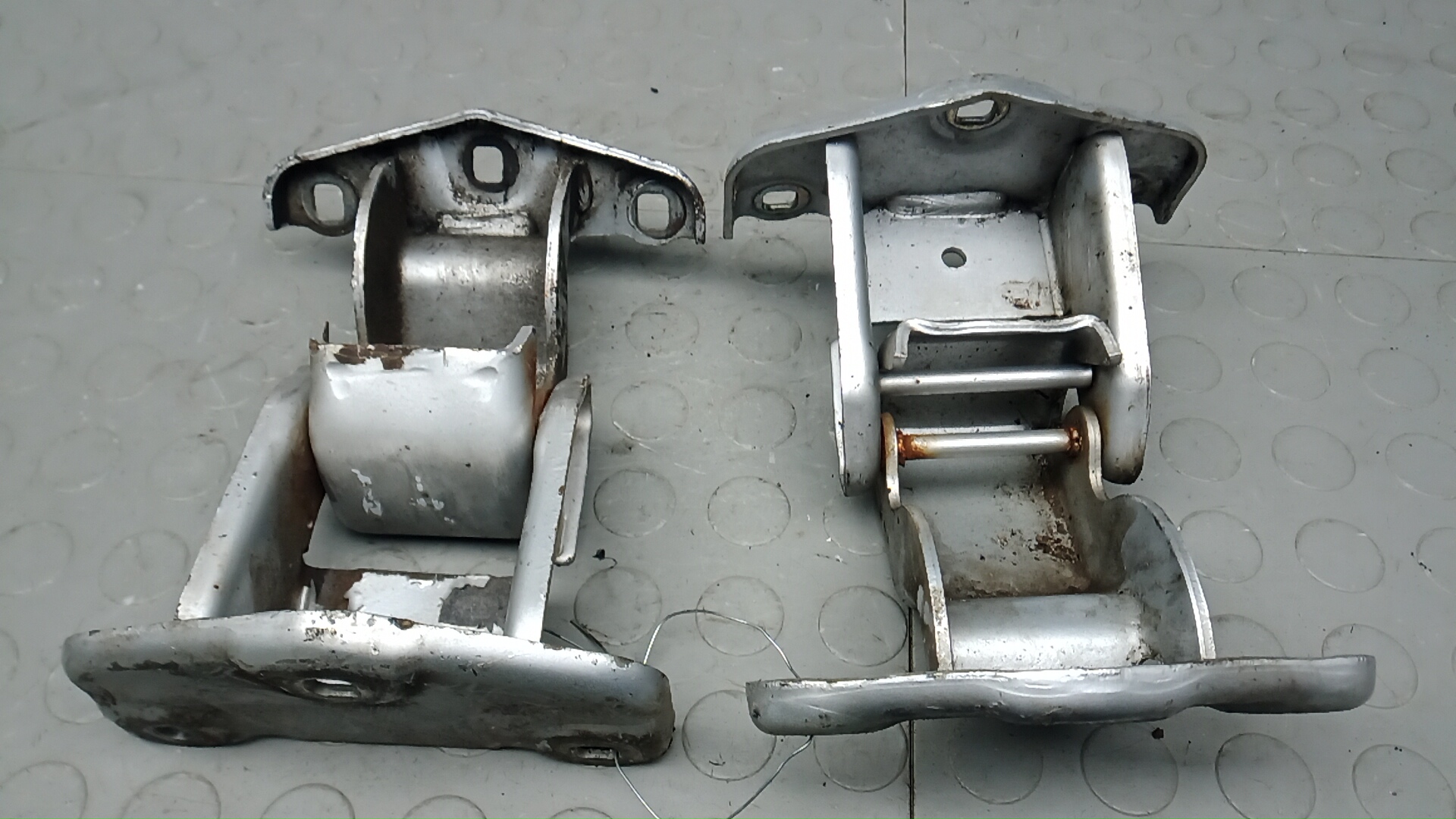 Петля двери задней