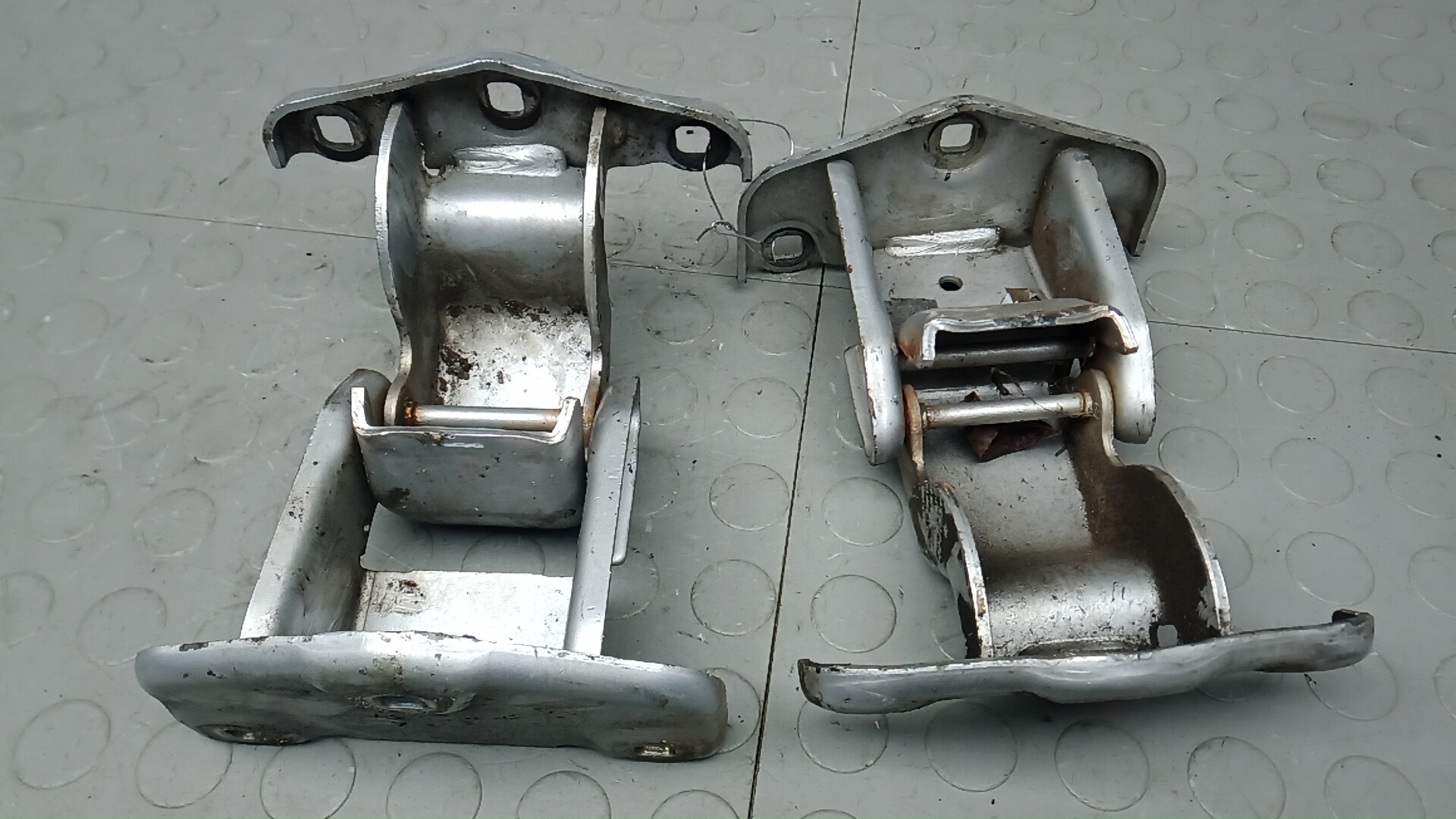 Петля двери задней