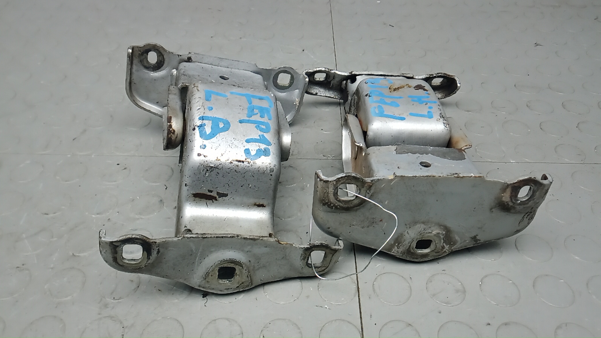 Петля двери задней