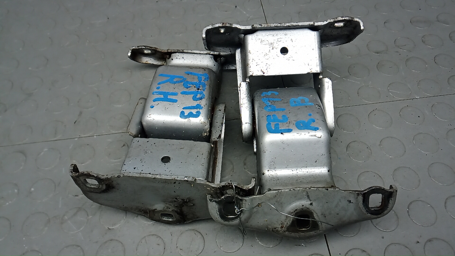 Петля двери задней