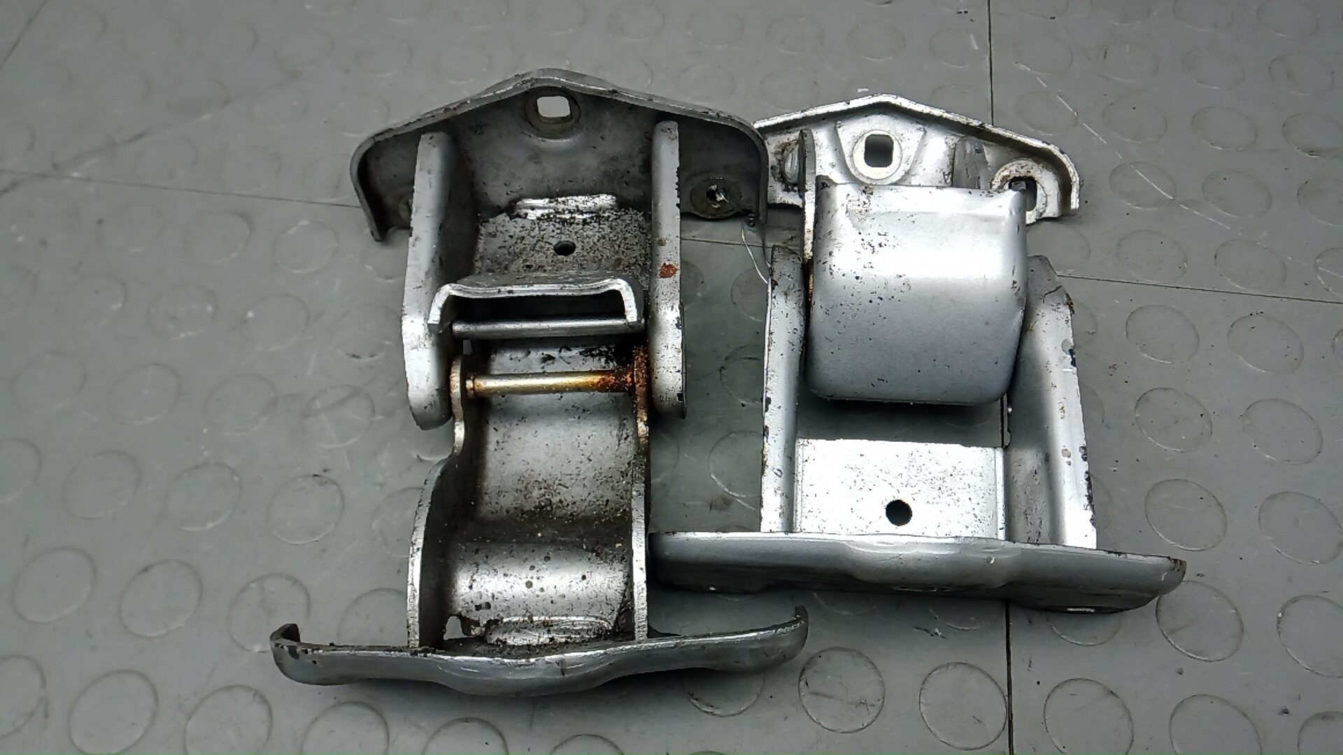 Петля двери задней