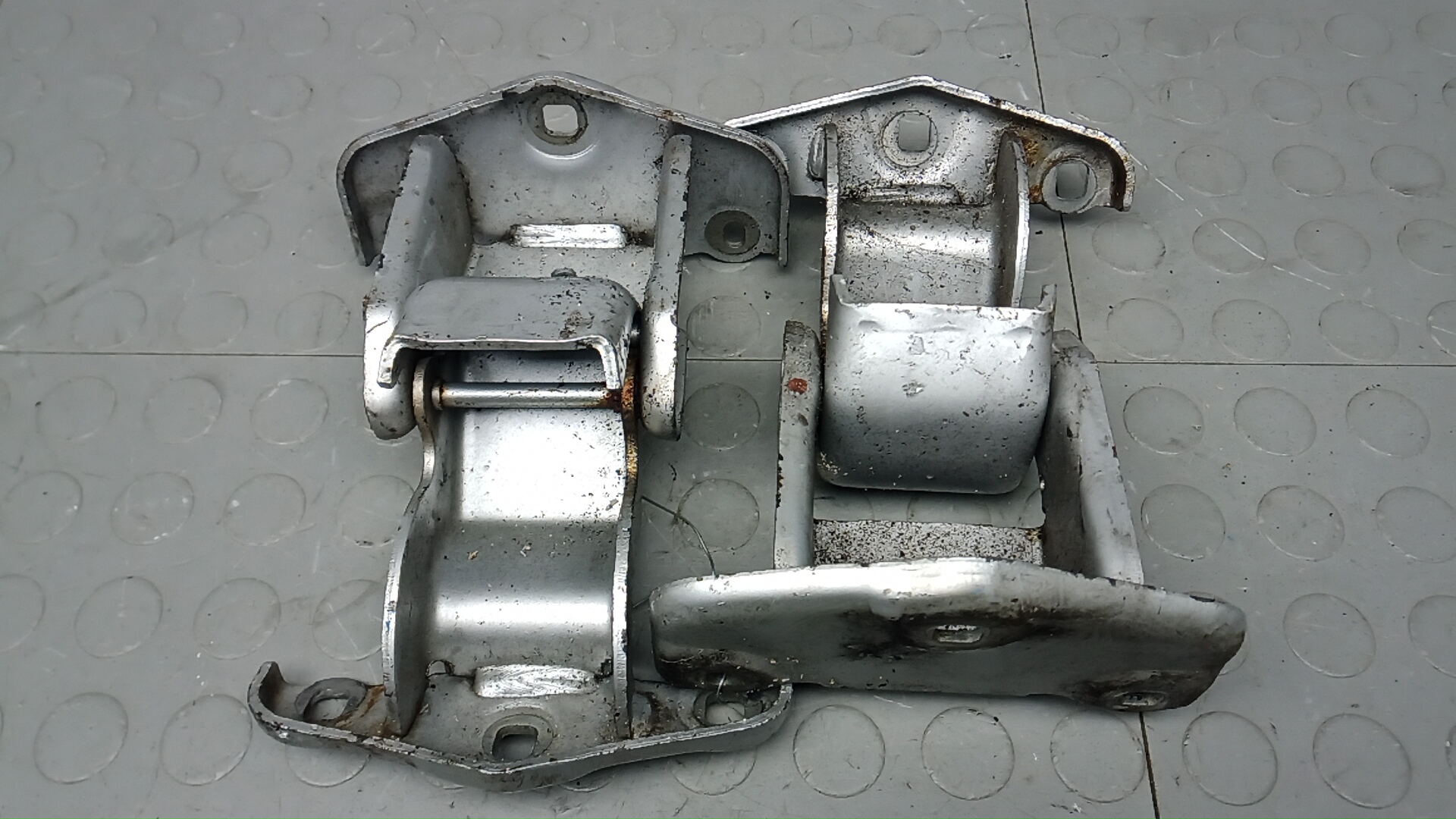 Петля двери задней