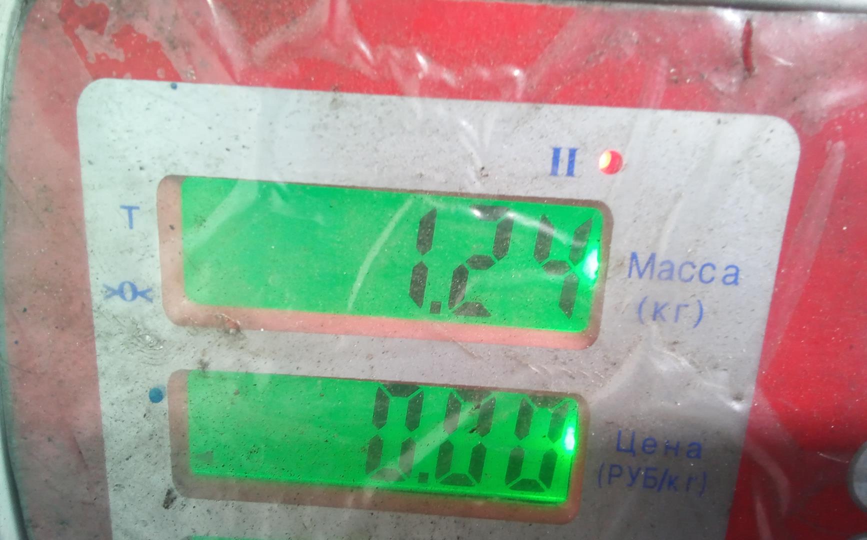 Рейка топливная (рампа)