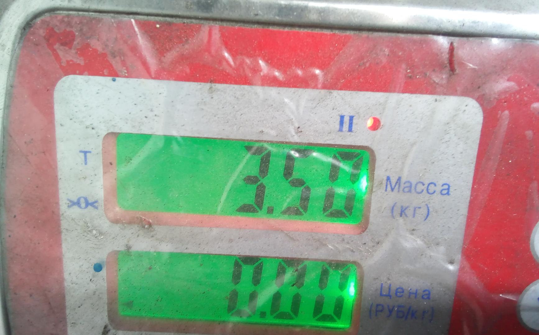 Шкив коленвала