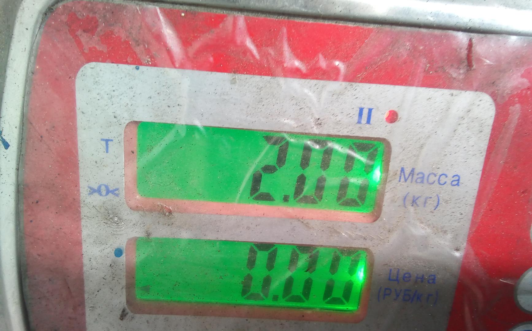 Насос ГУР (гидроусилитель руля)