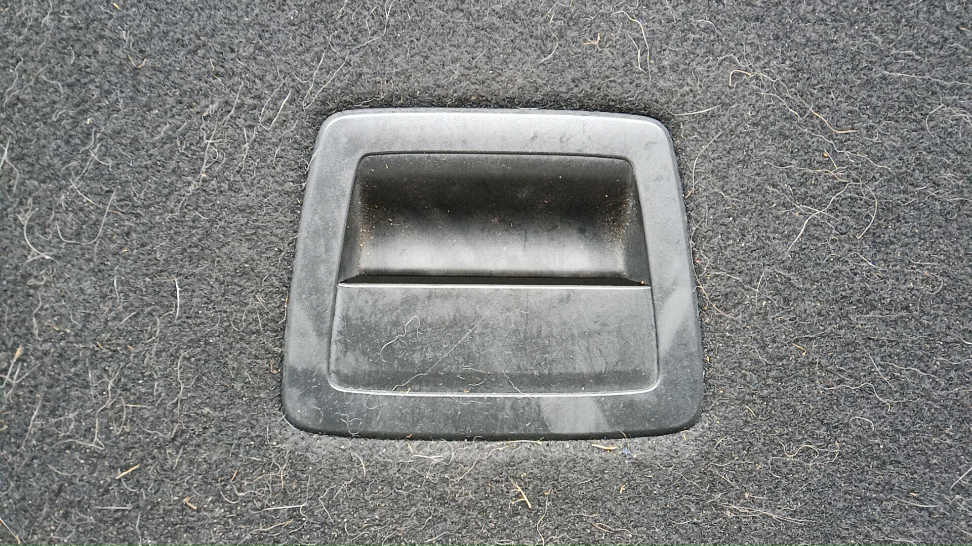 Покрытие напольное (ковролин)