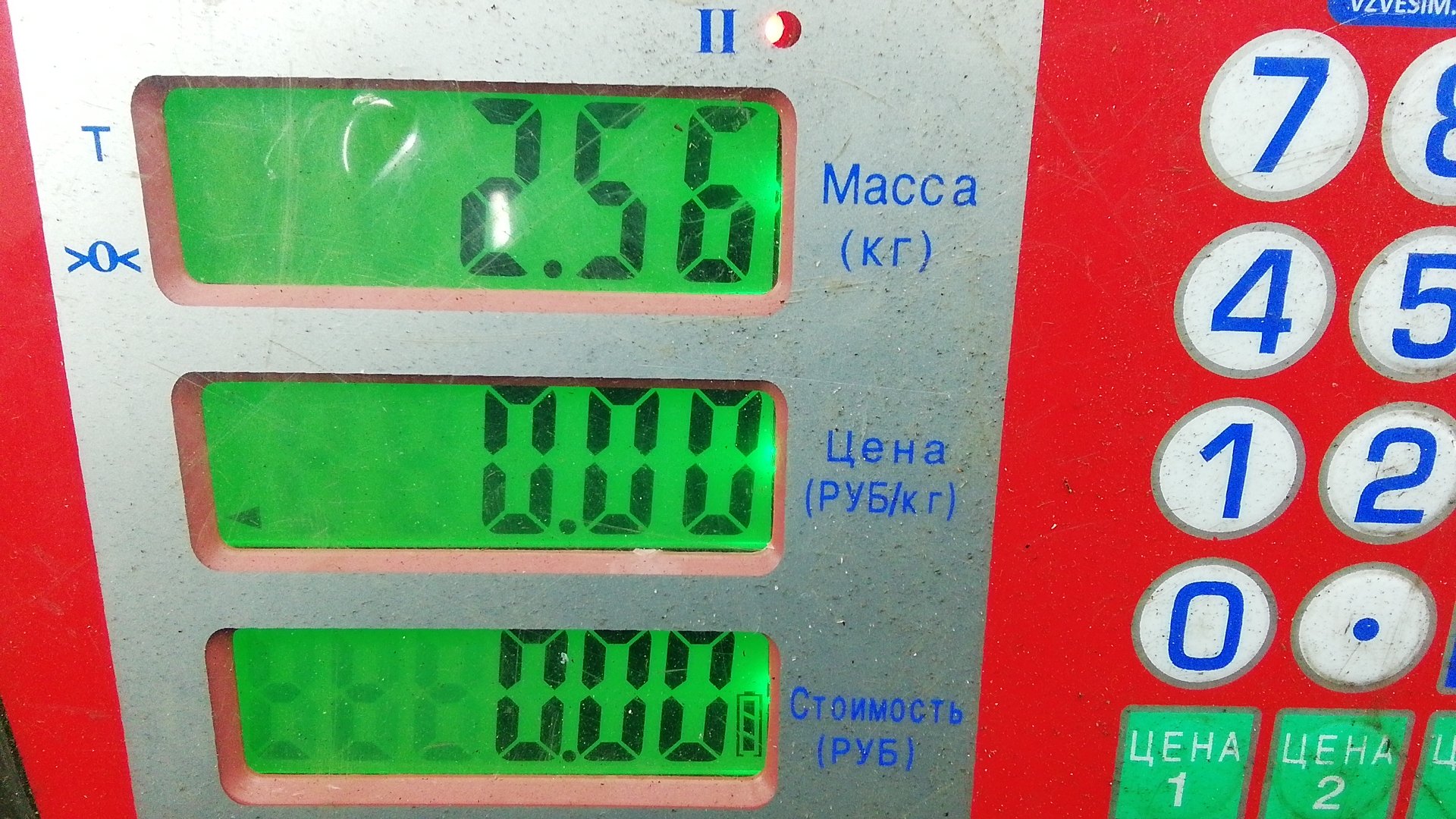 Пружина задняя