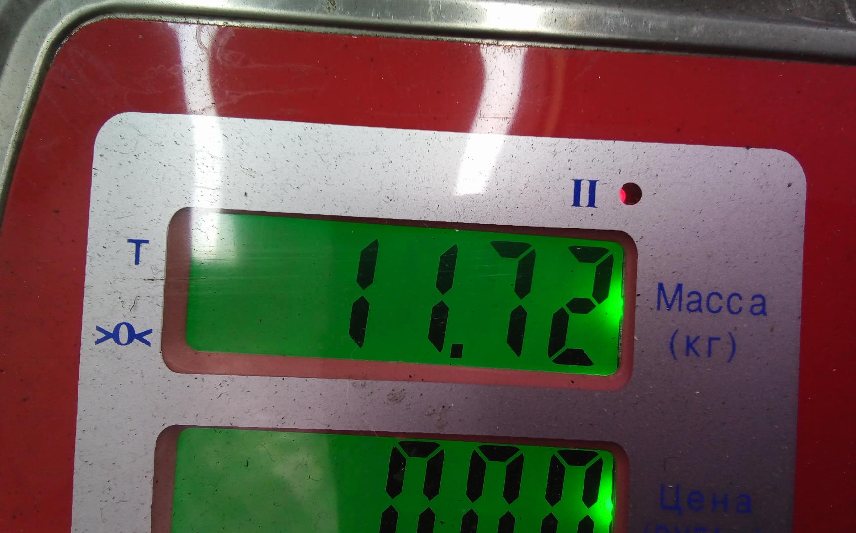 Ступица задняя