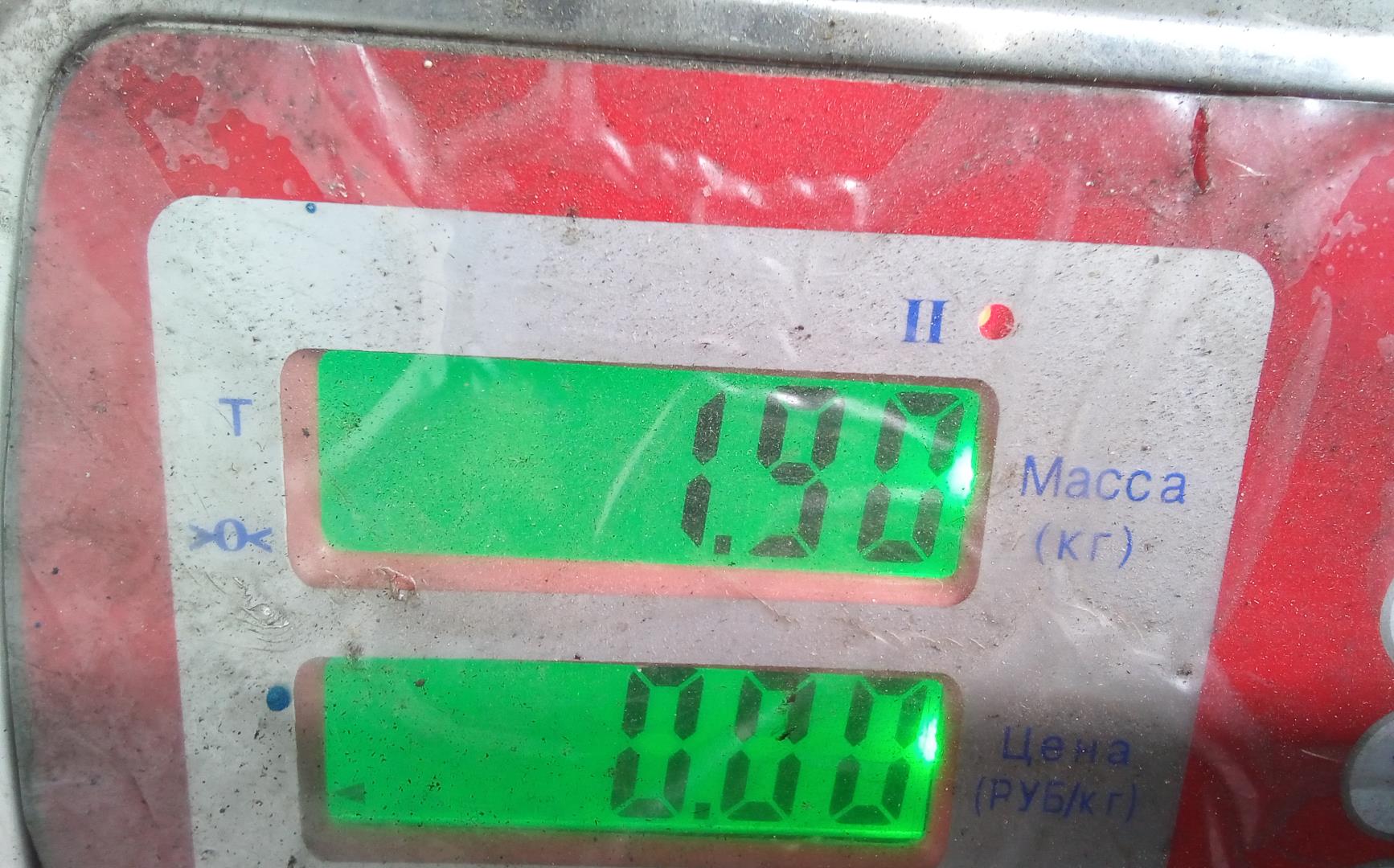 Насос ГУР (гидроусилитель руля)