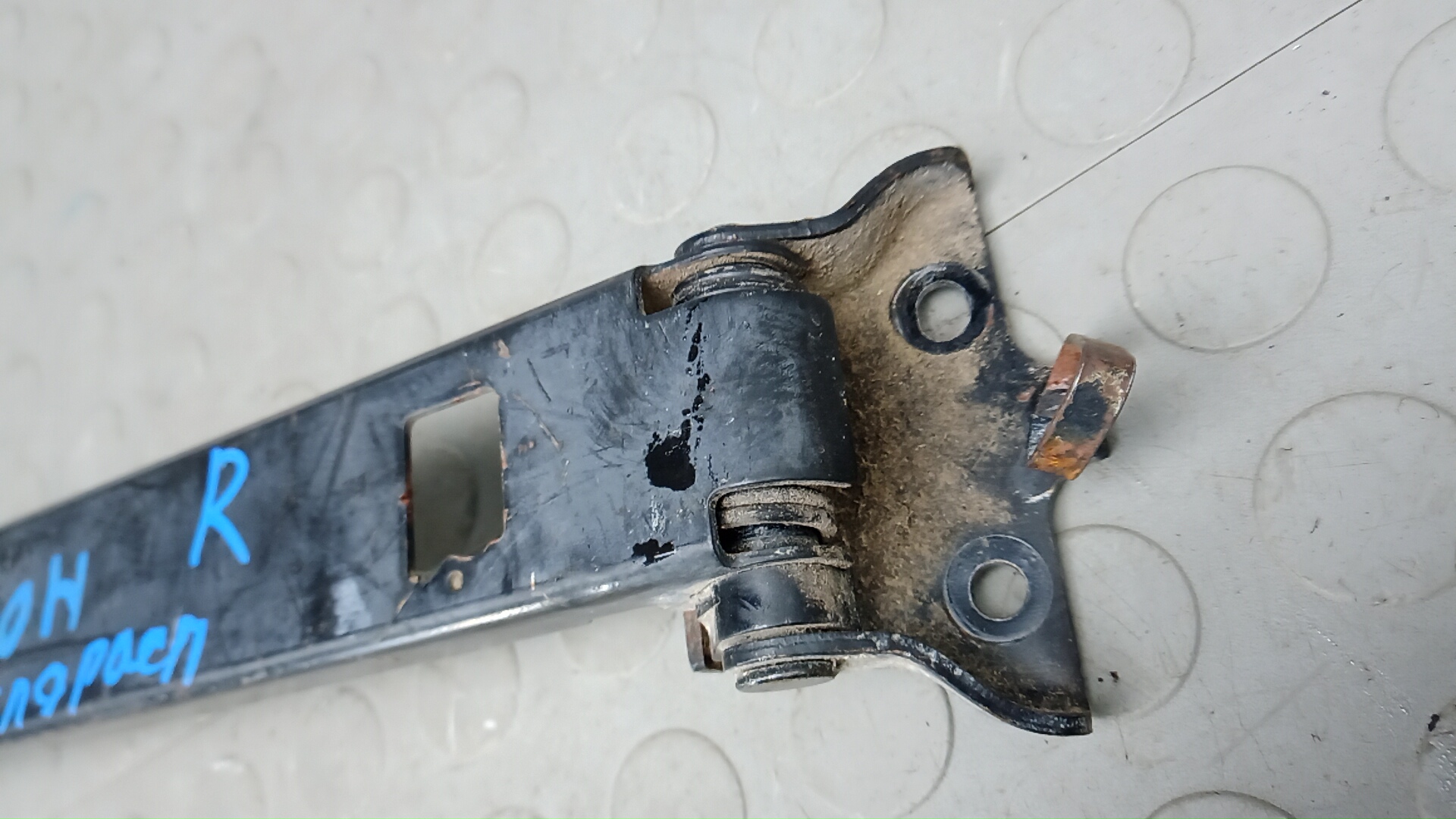 Петля двери задней