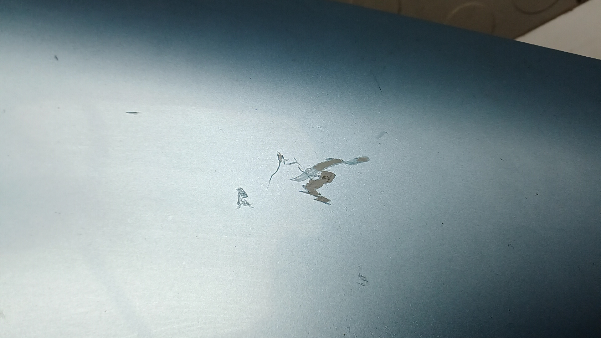 Крыло переднее правое