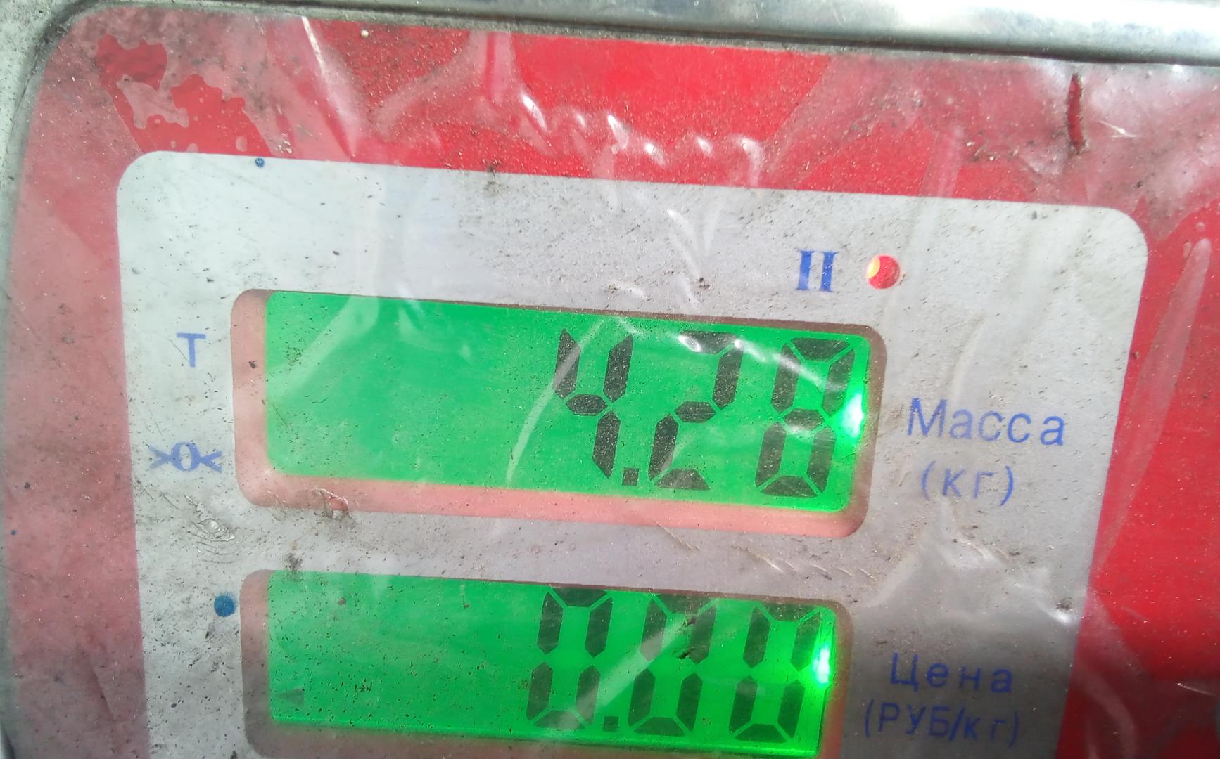 ТНВД (Топливный насос высокого давления)