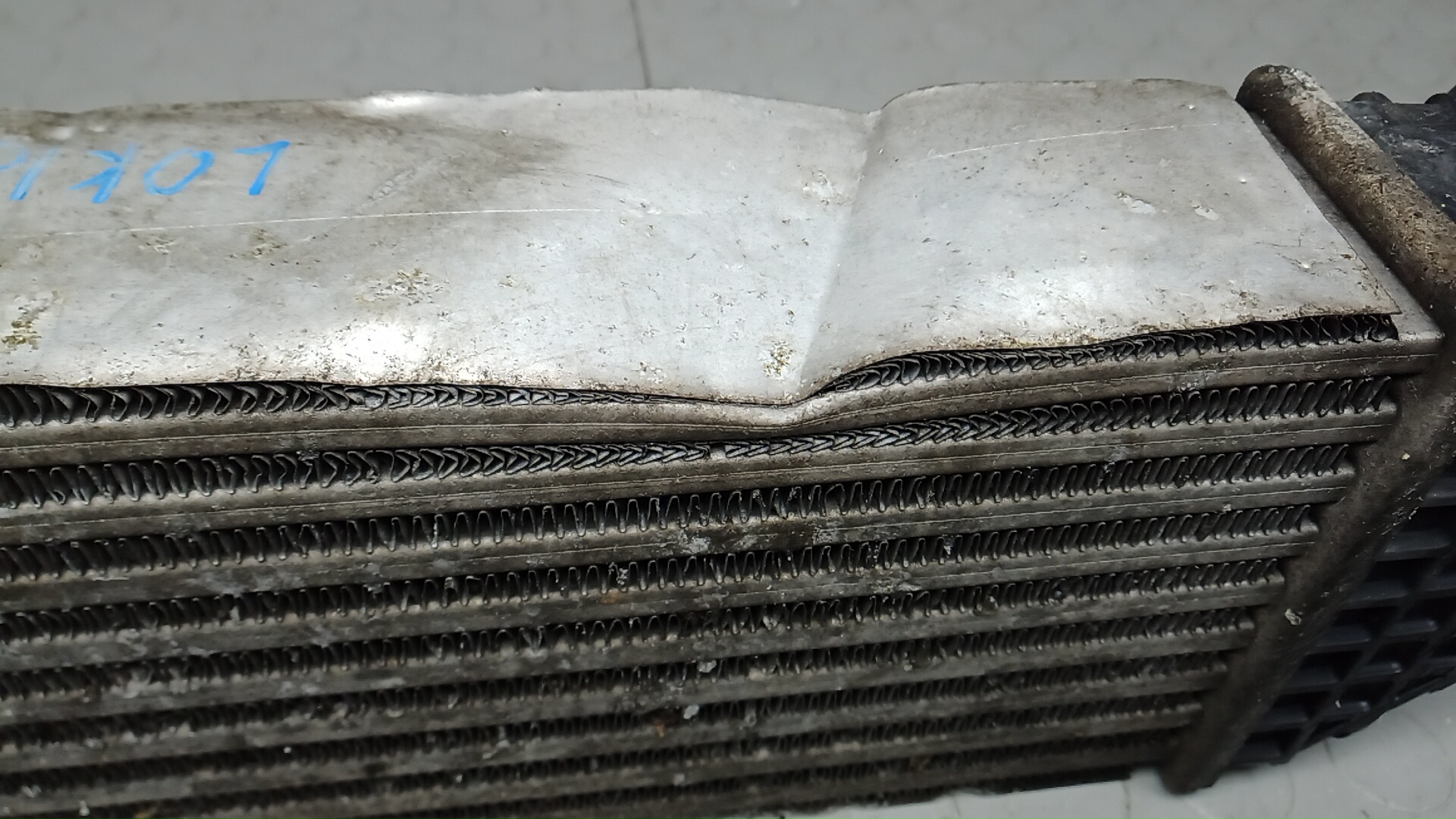 Интеркулер