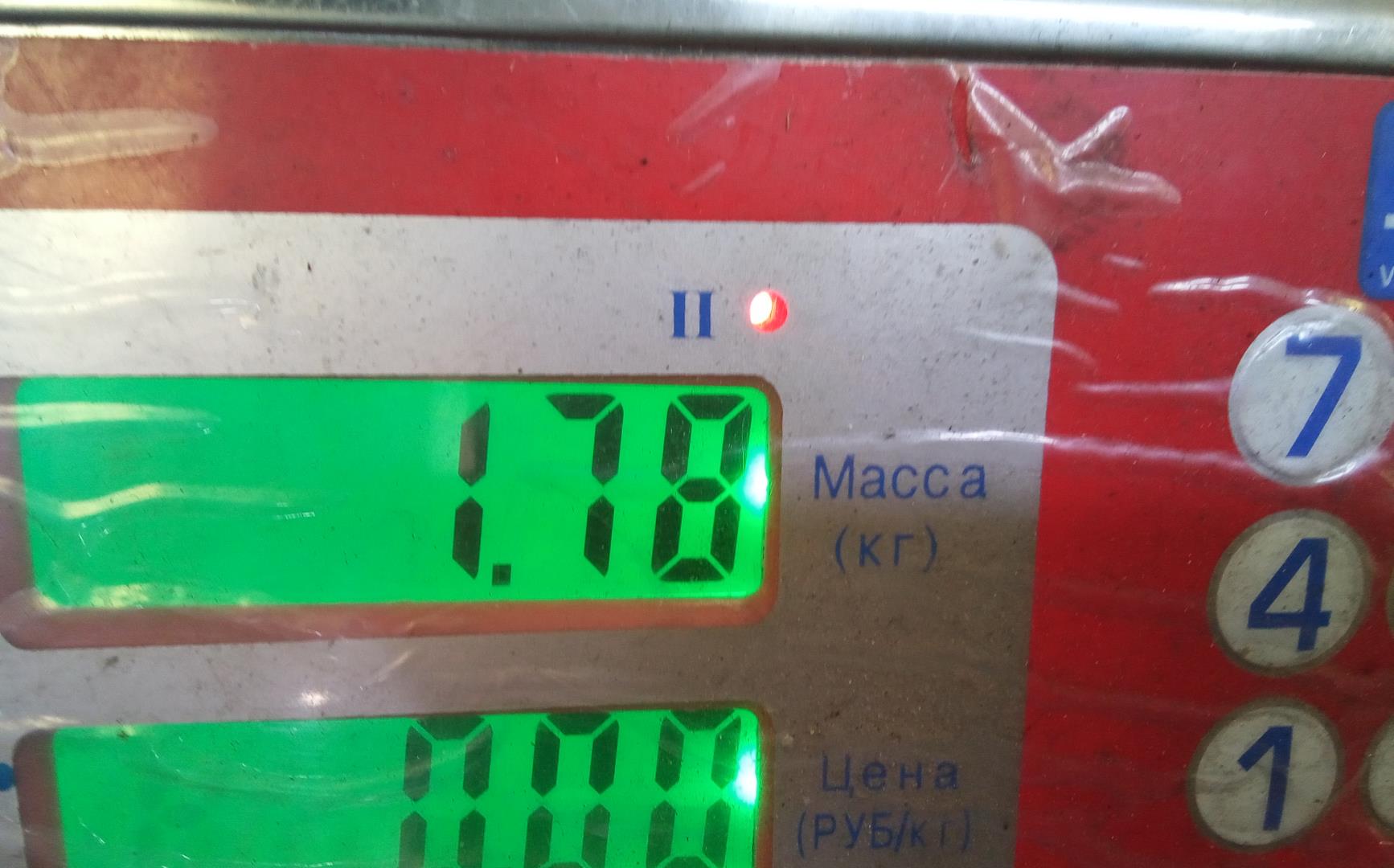 Поддон масляный двигателя (картер)