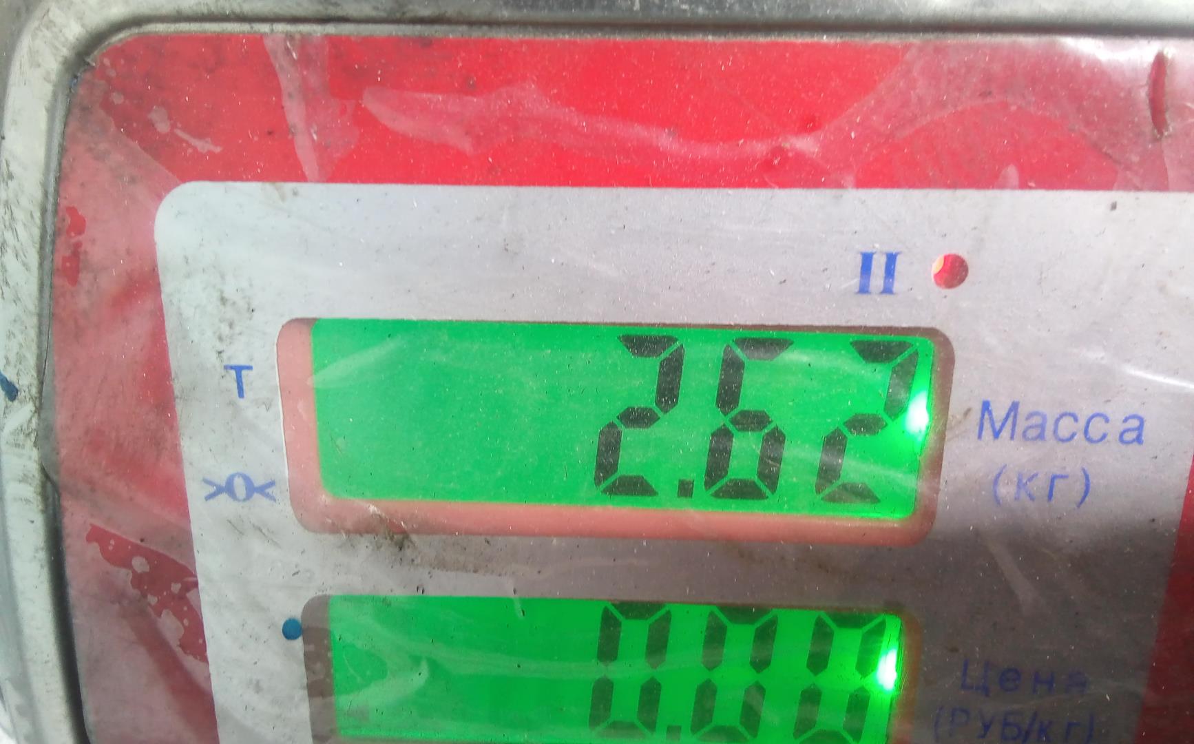 Коллектор впускной