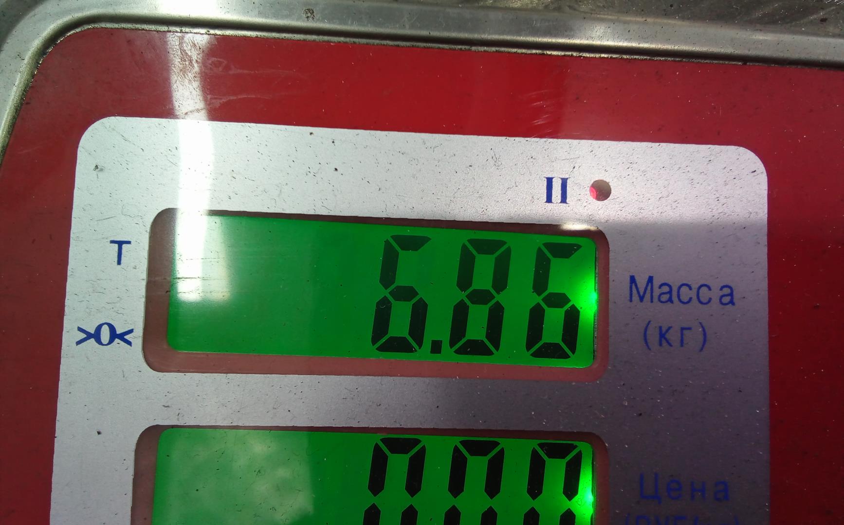 Турбина (турбокомпрессор)