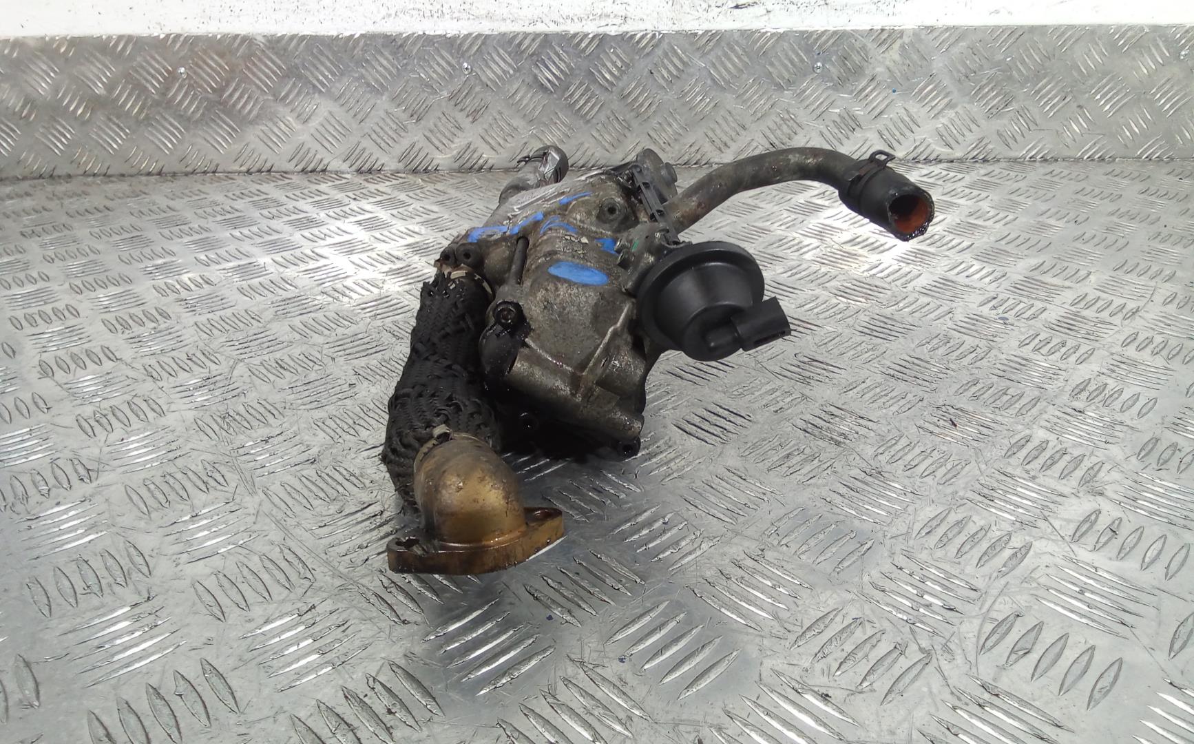 AP-0011844817 AP-0011844817