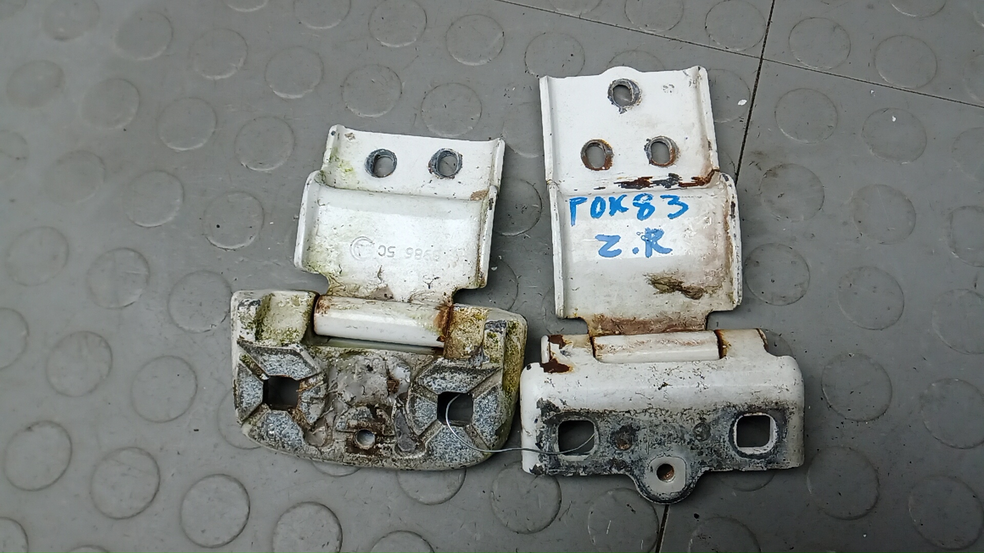 Петля двери задней