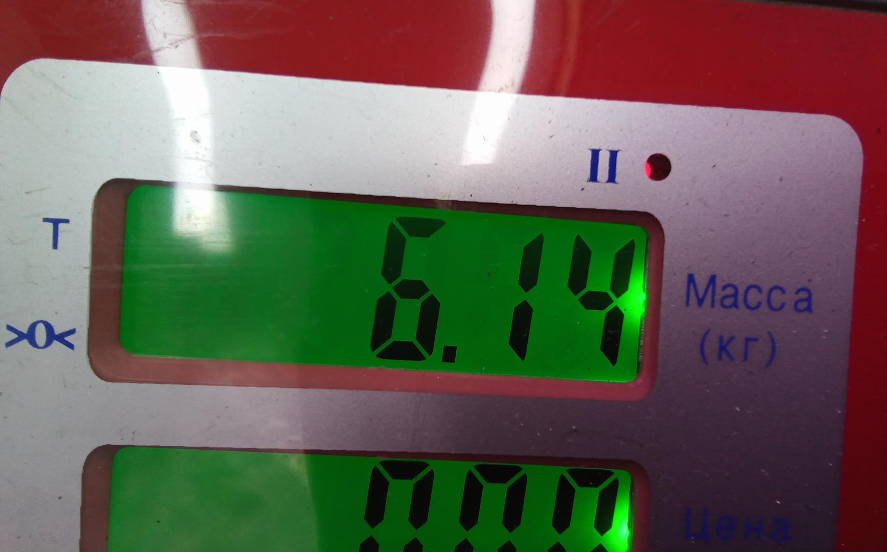 ТНВД (Топливный насос высокого давления)