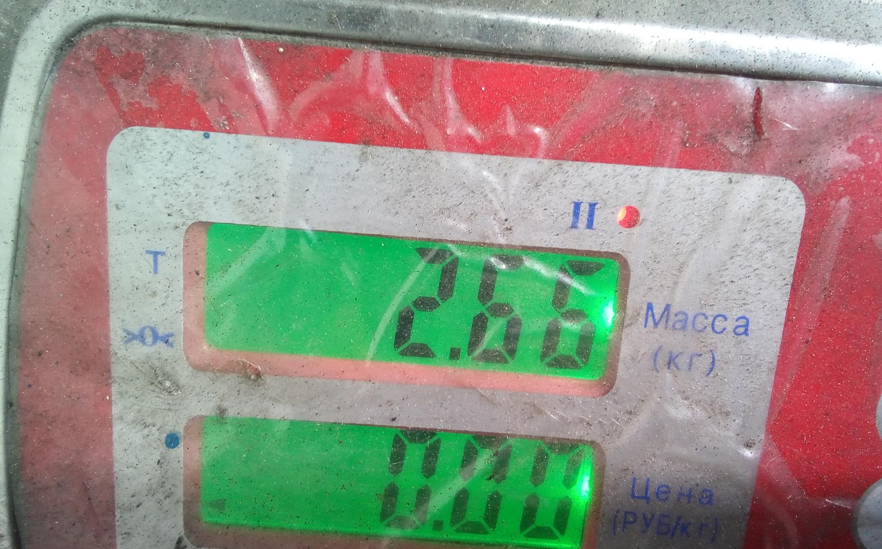 Коллектор впускной