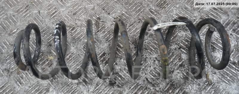 Пружина задняя