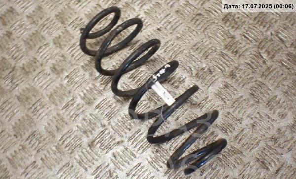 Пружина задняя