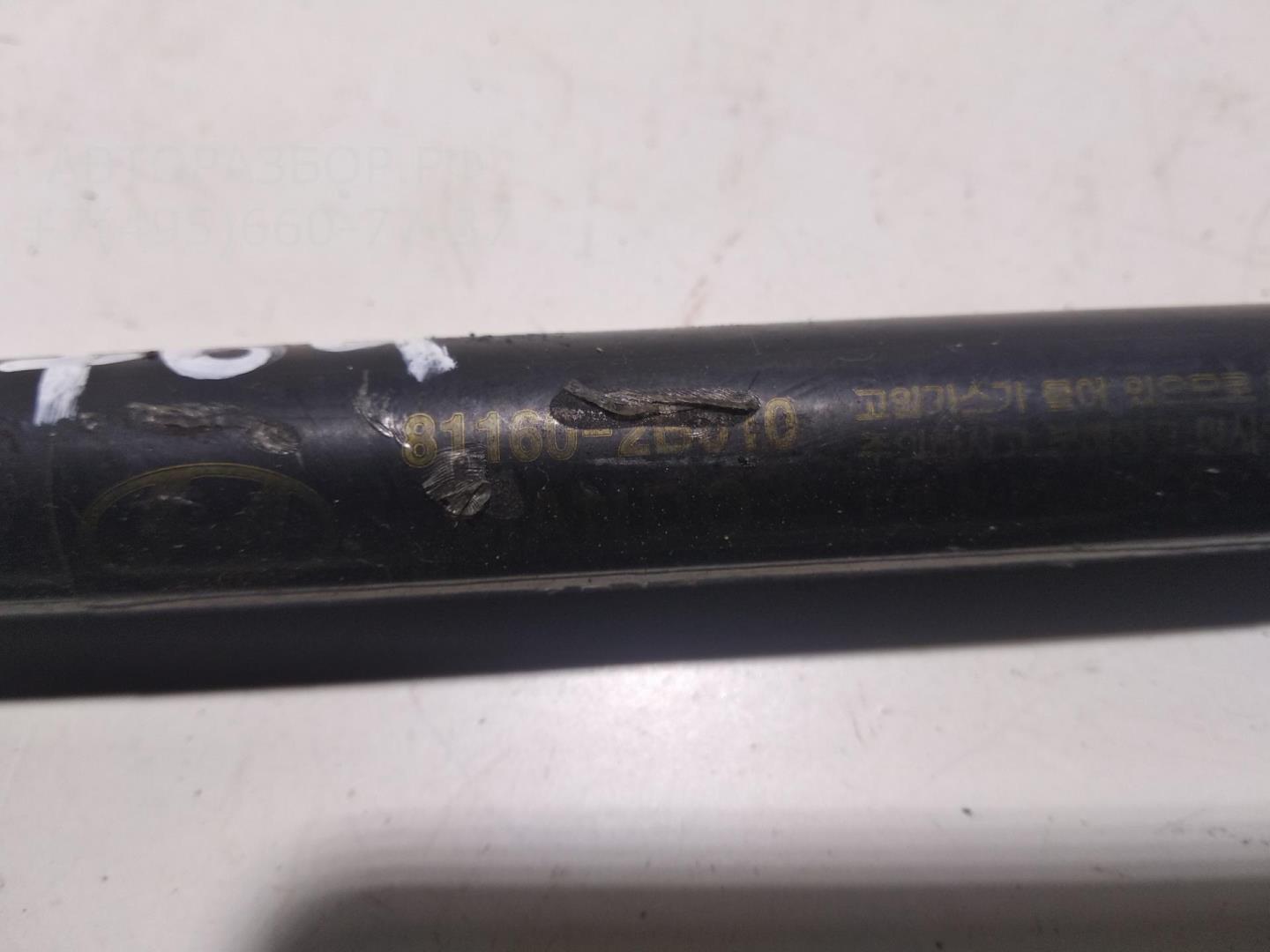 Амортизатор стекла багажника