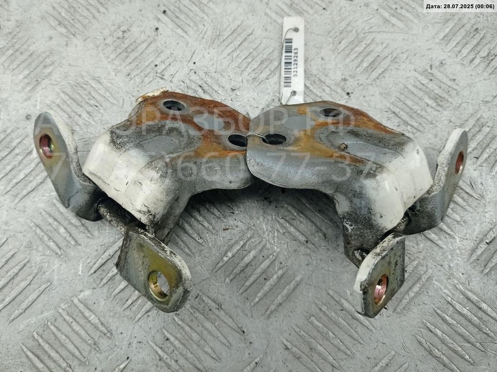 Петля двери