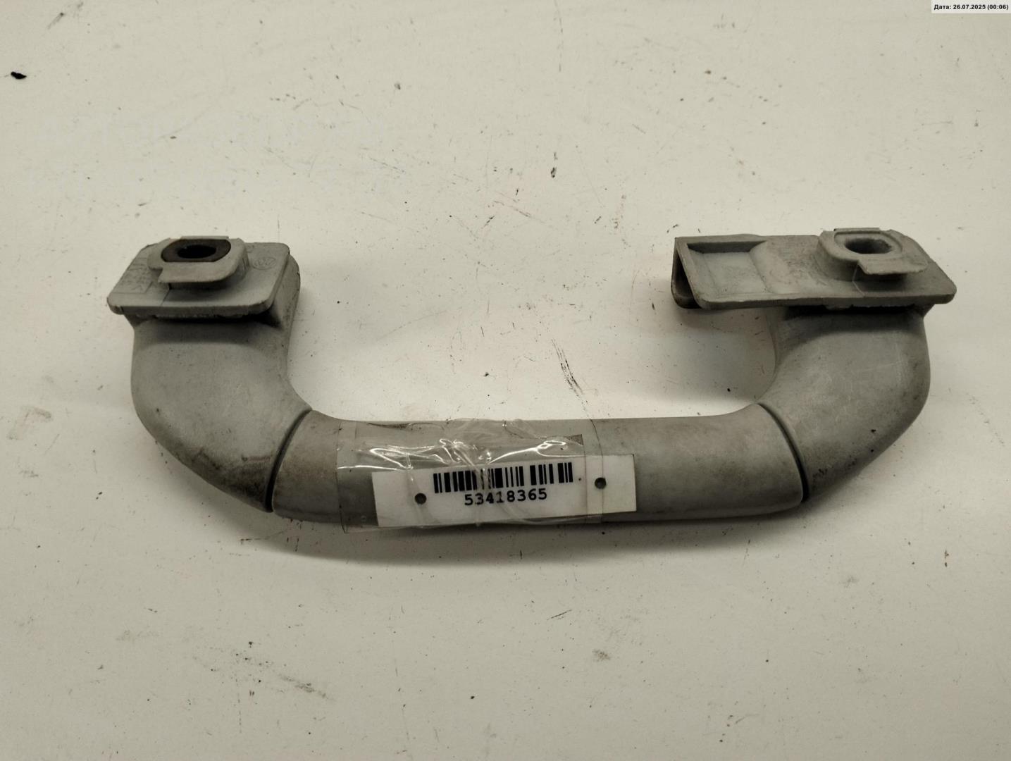 Ручка внутренняя потолочная