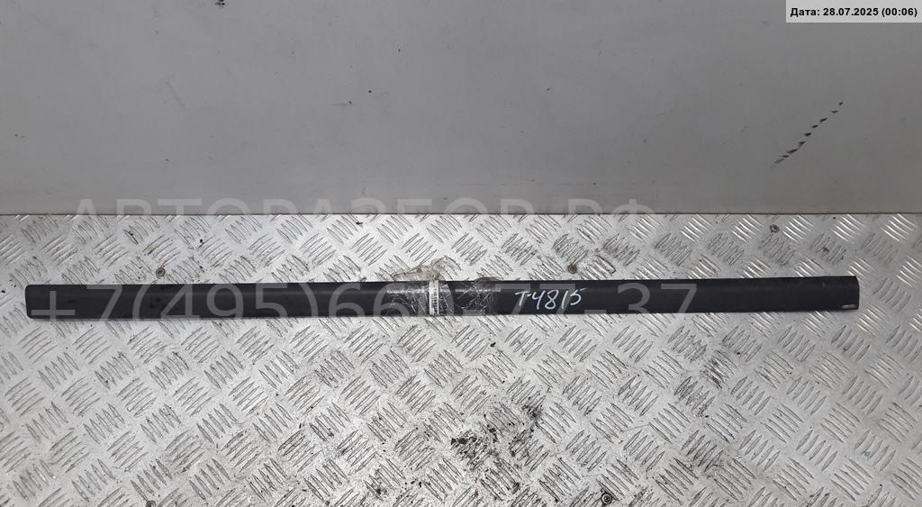 Молдинг двери передней левой