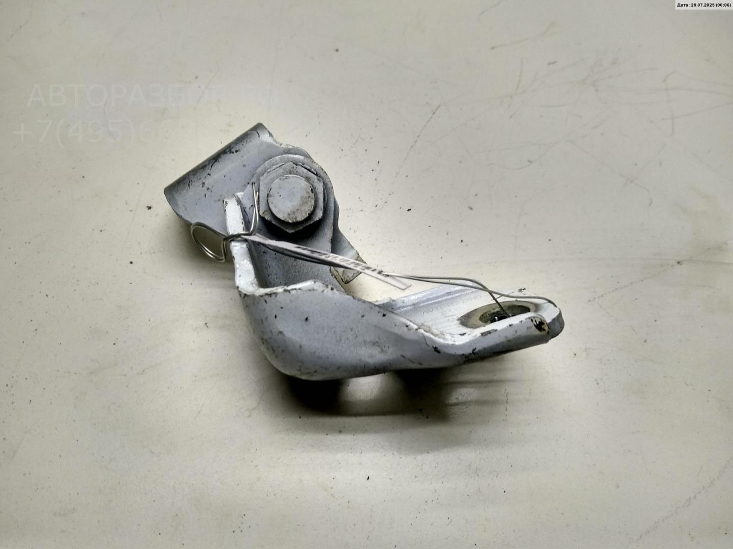 Петля двери