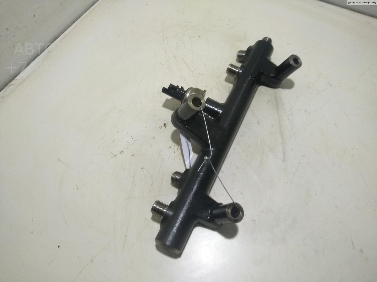 Рейка топливная (рампа)