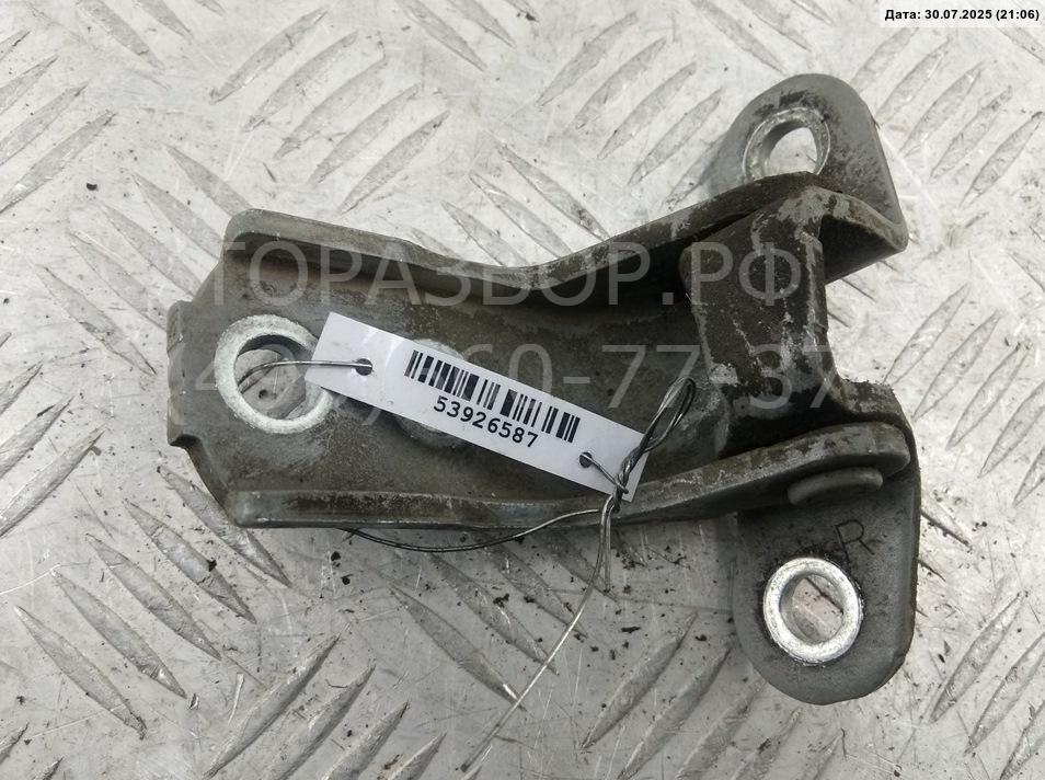 Петля двери