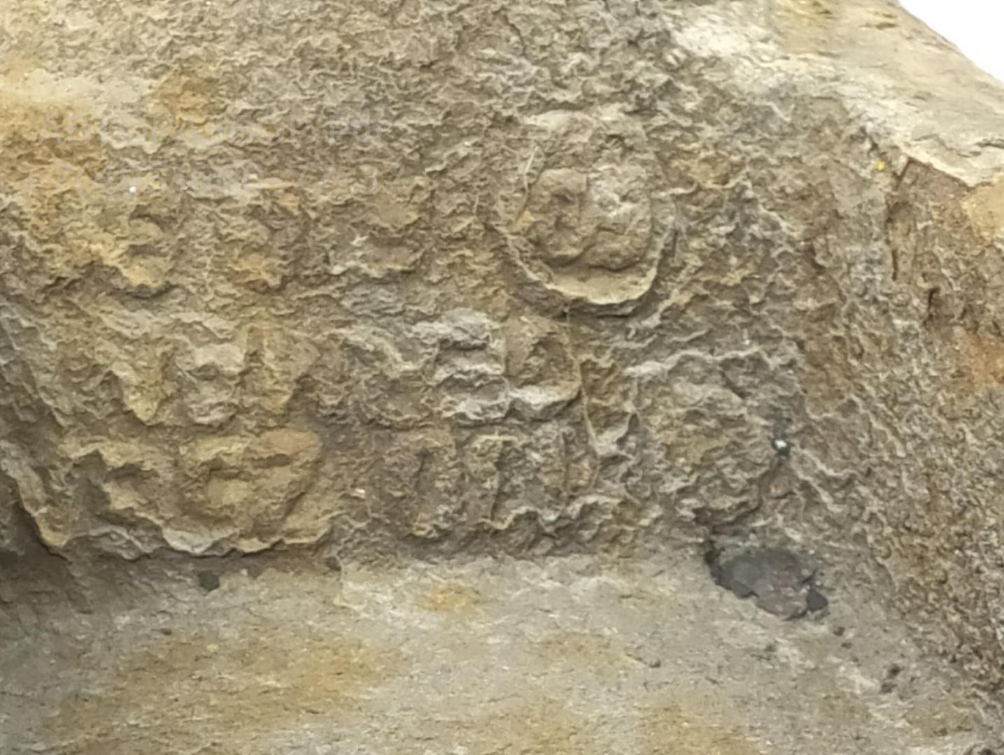 Ступица передняя