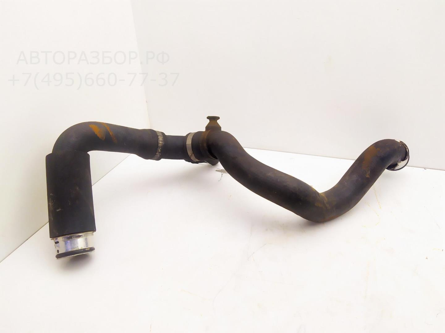 Патрубок радиатора